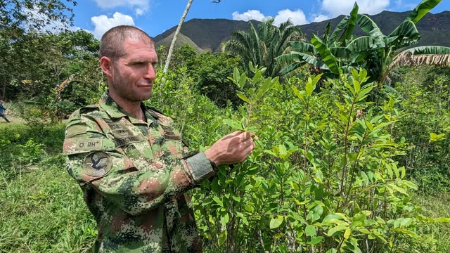 Our Guy in Colombia