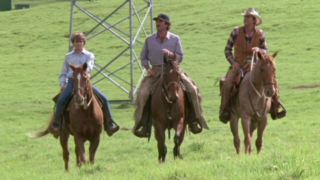 Magnum, P.I.
