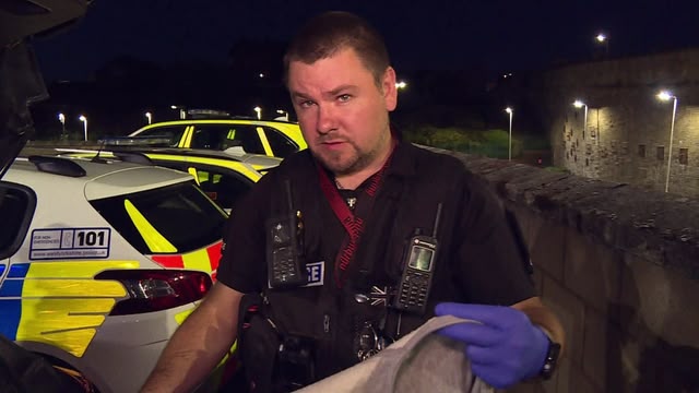 Police Interceptors