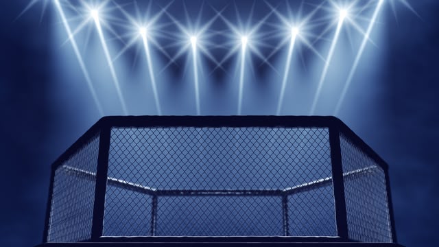 Live Fight Night: MVP Boxing