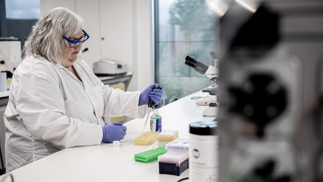 Forensics: Catching The…
