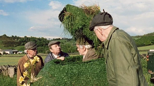 Last of the Summer Wine