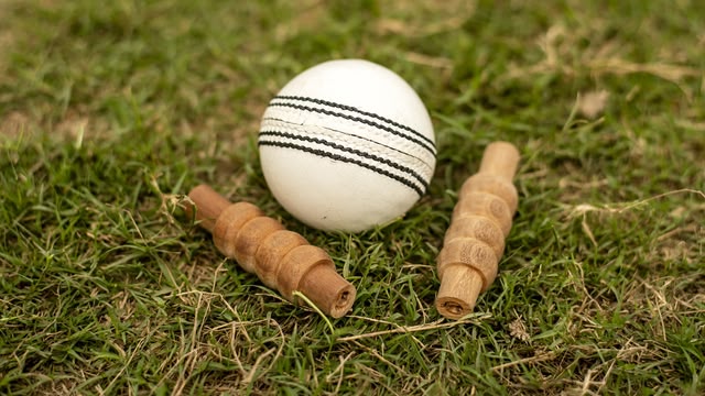 Cricket: England v India T20 Highlights