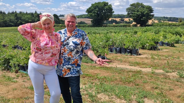 The Great B&B Challenge