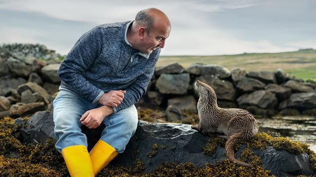 Billy & Molly: An Otter Love Story