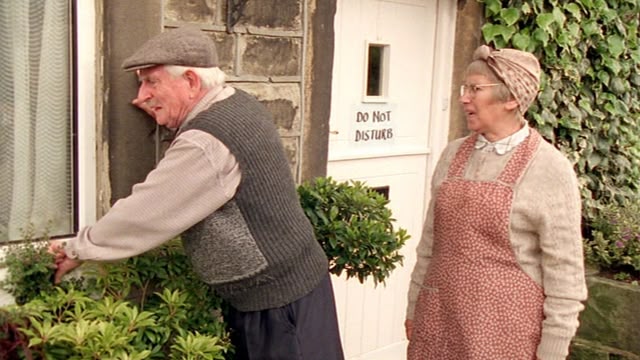Last of the Summer Wine