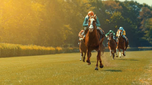 ITV Racing: Live from Haydock