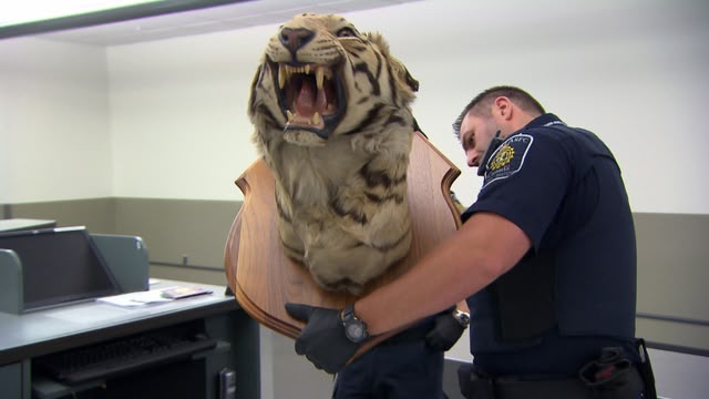 Border Security: Canada's Front Line