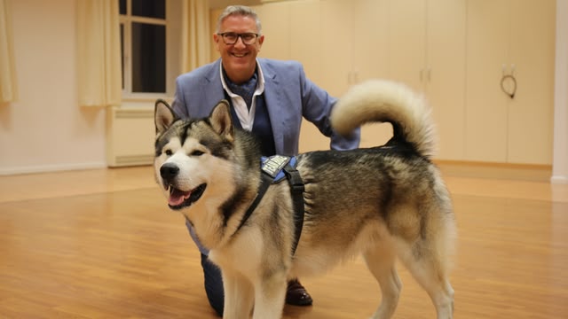 Dogs Behaving