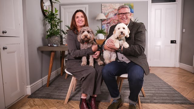 Dogs Behaving (Very) Badly