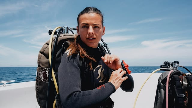 Deep Dive North America