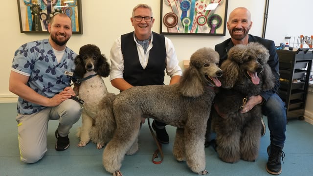 Dogs Behaving (Very) Badly