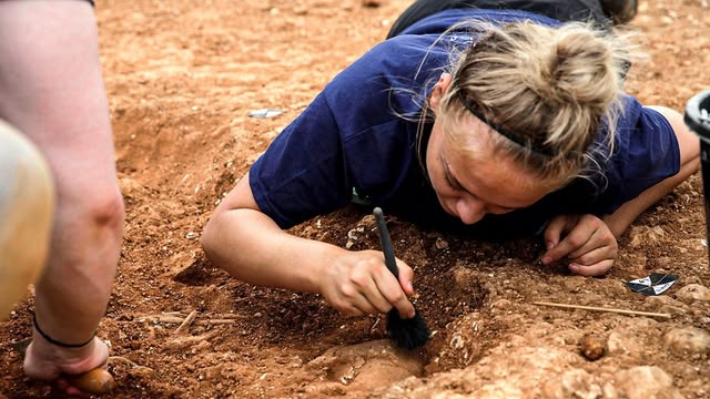Digging for Britain