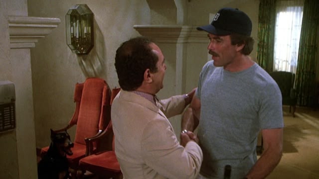 Magnum, P.I.