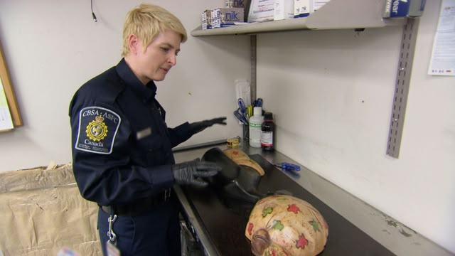 Border Security: Canada's Front Line