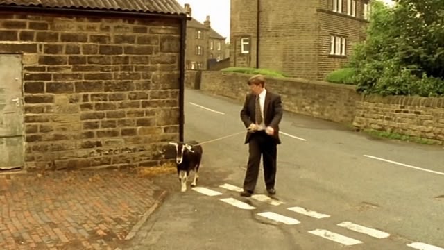 Last of the Summer Wine