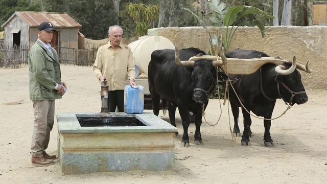 NCIS