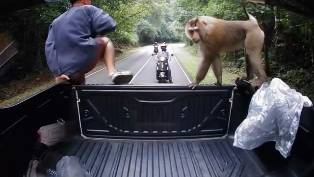 Caught On Dashcam