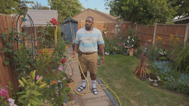 Deep Fake Neighbour Wars