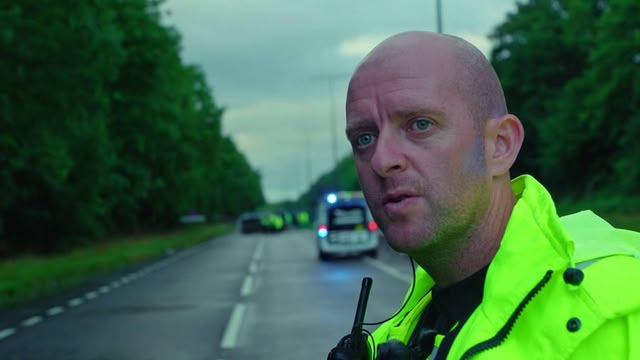 Traffic Cops