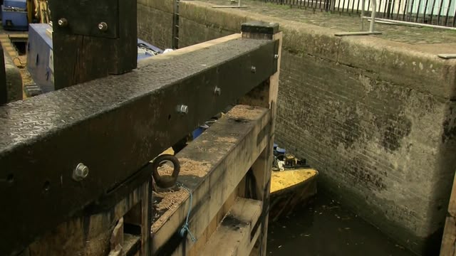 How Do They Do It?