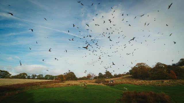 Love Nature