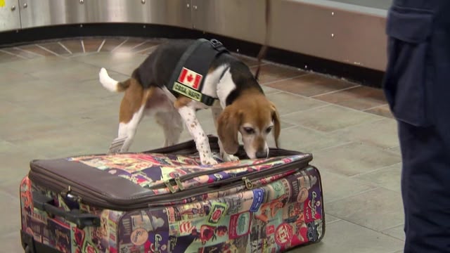Border Security: Canada's Front Line