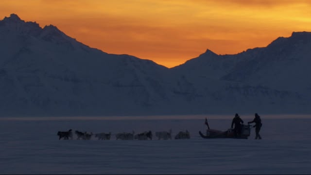 Frozen Planet