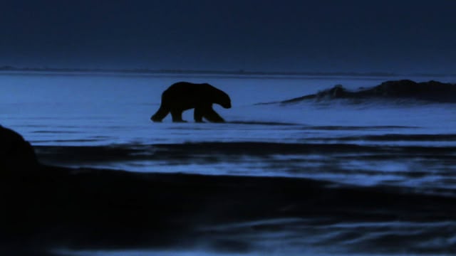 Frozen Planet