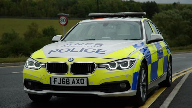 Traffic Cops