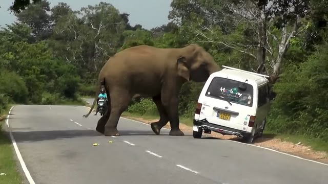 Caught On Dashcam