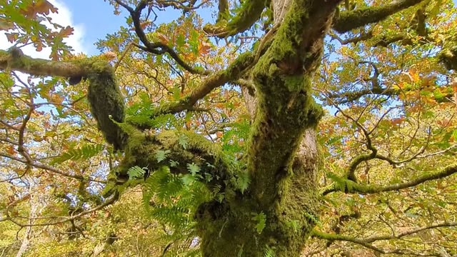 Love Nature