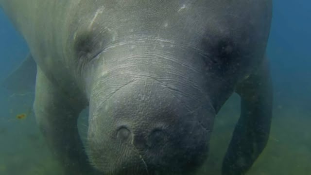 Secrets Of The Enchanted Waters