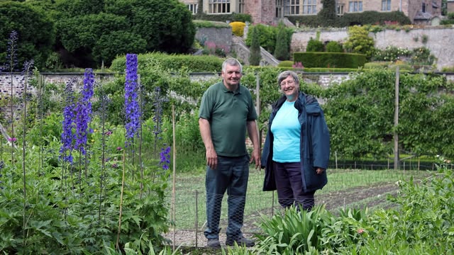 Glorious Gardens from Above