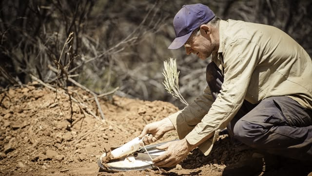 Aussie Gold Hunters