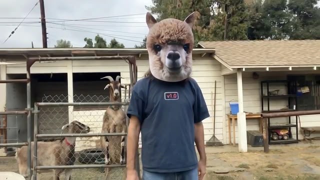 America's Funniest Home Videos
