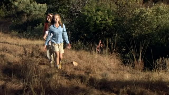 Wild at Heart