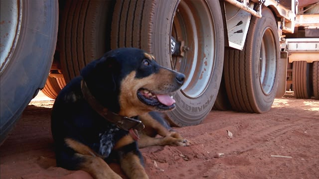 New: Outback Truckers