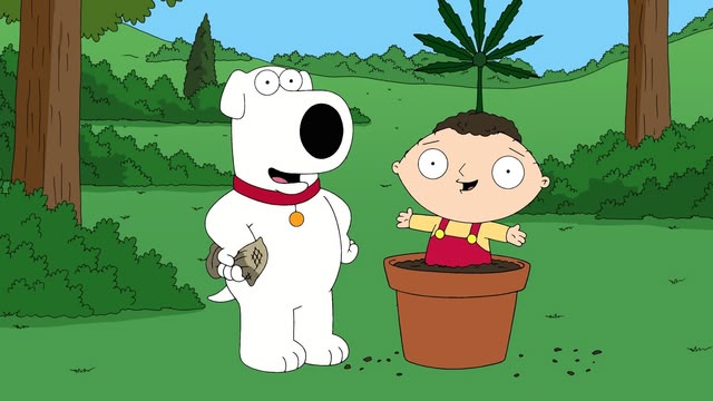 Family Guy
