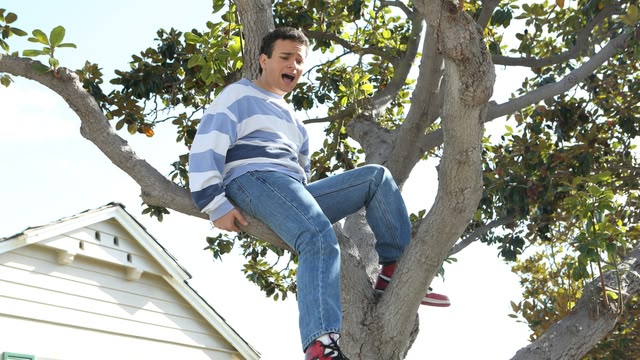 The Goldbergs