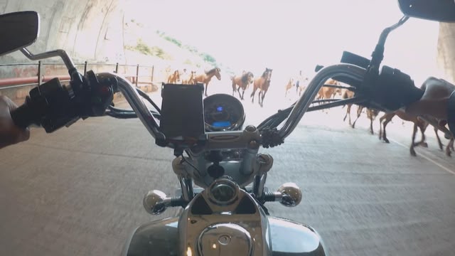 Caught On Dashcam