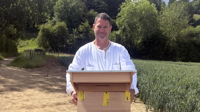 The Secret Life of Bees