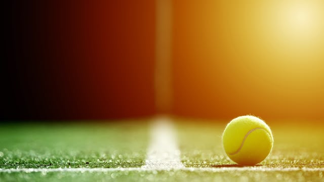 Wimbledon 2025 Review