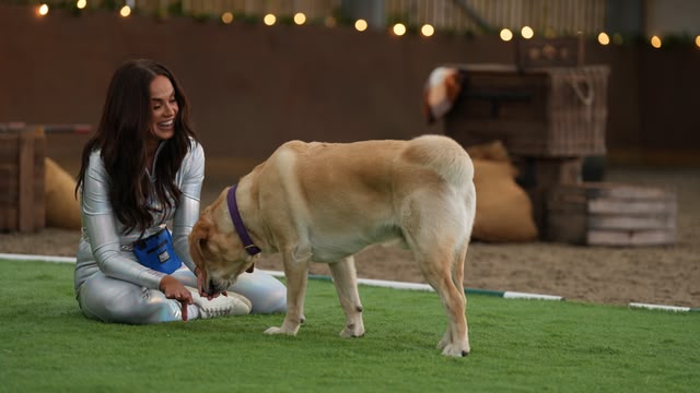 New: Wagging Rights