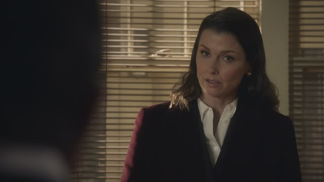 Blue Bloods