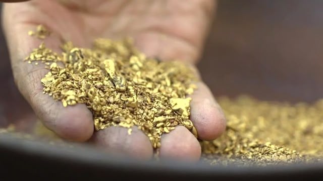 Yukon Gold