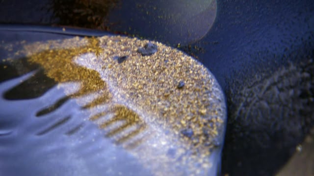Yukon Gold