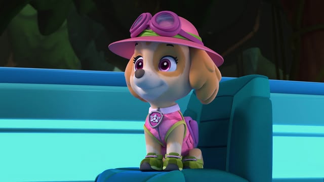 PAW Patrol